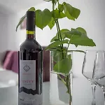 Ante & Ivanka Apartament